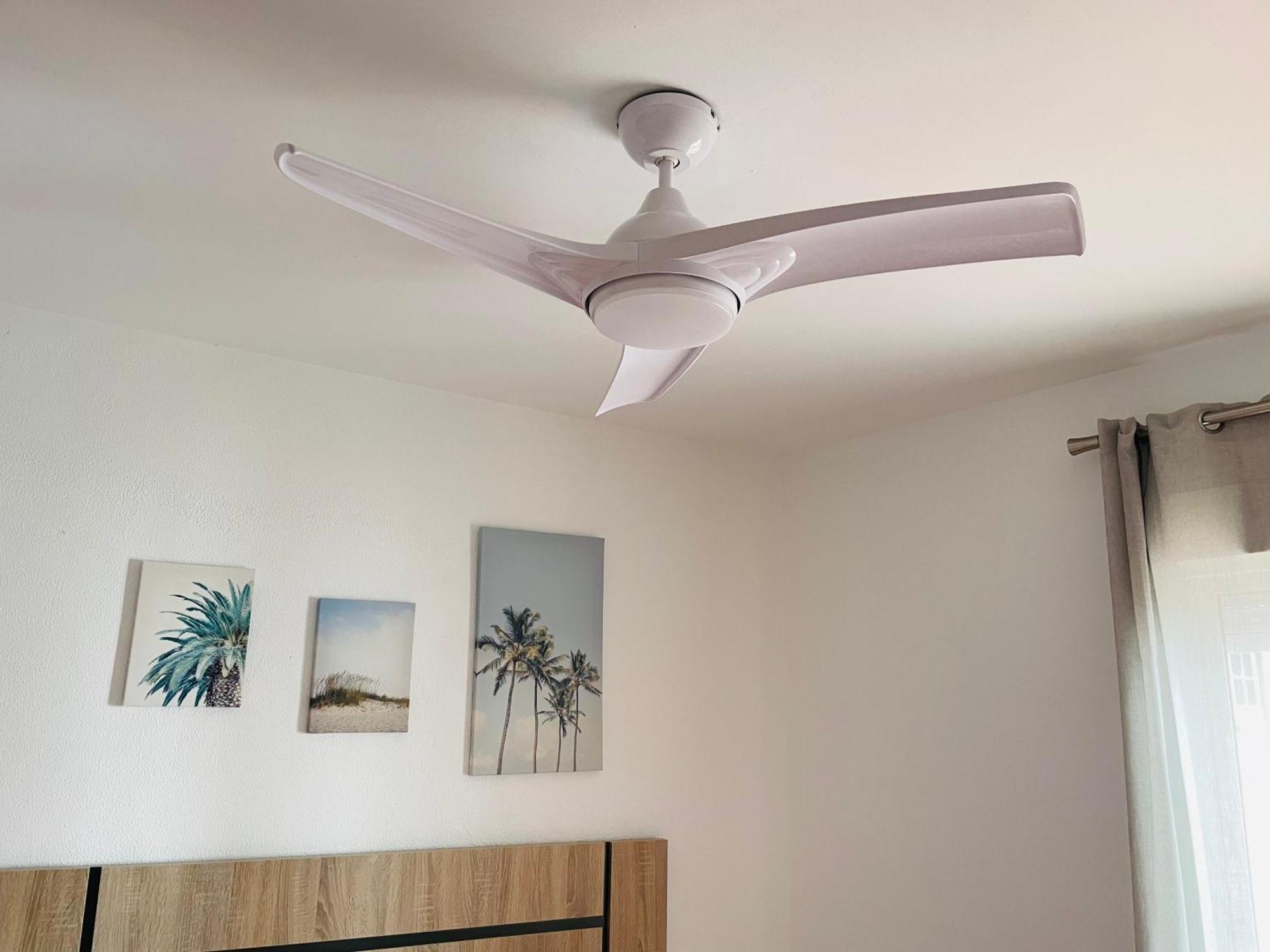 Apartamento Conil Centro Y Playa, Descanso Perfecto, Con Aire Acondicionado Y Wifi โกนิล เด ลาฟรอนเตรา ภายนอก รูปภาพ